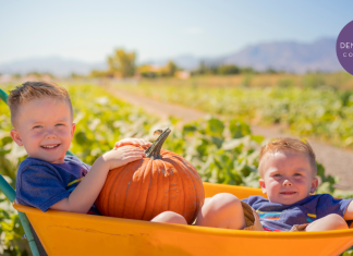 little boys sitting in wheelbarrow at pumpkin patch