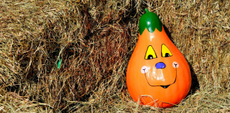 painted pumpkin in haystack